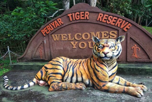 Kerala Tour 7 Days - Discover Paradise