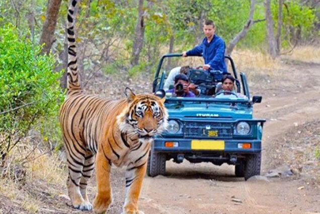jim corbett tour