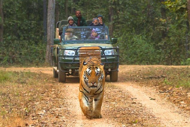 kanha national park