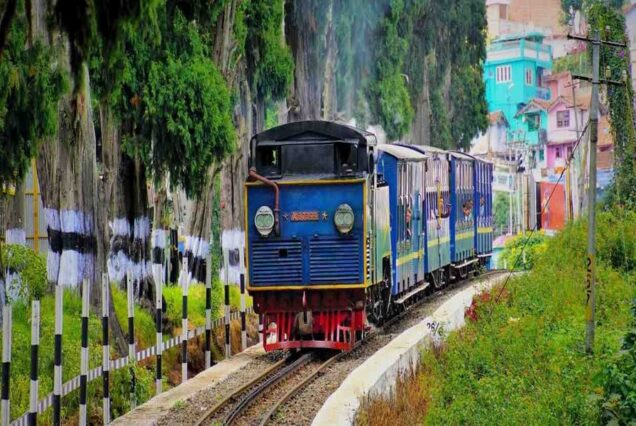 5 Days in Bangalore, Mysore and Ooty