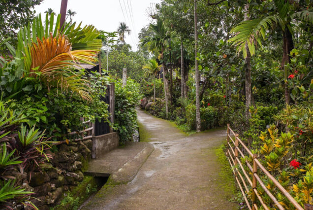 8 Days in Meghalaya Tour (Shillong, Dawaki, Cherrapunjee)