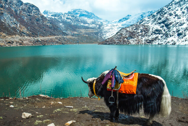 tsomgo lake