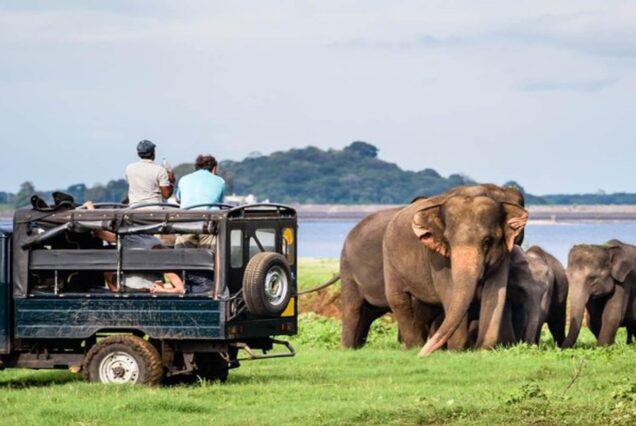 Explore Sri Lanka’s Best in 6 Epic Days