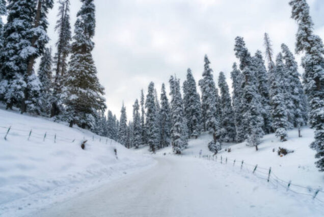 4 Days adventure in Kashmir