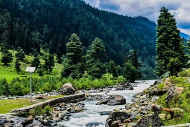 Kashmir Unveiled: A 5-Day Adventure