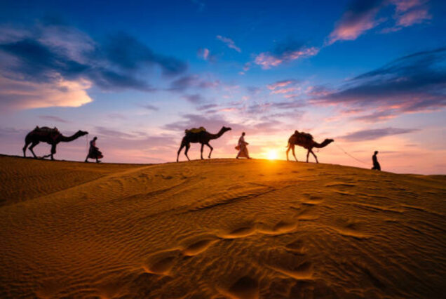 Exploring the Heart of India in 16 Days