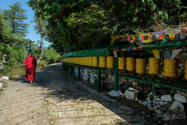 Discover the beauty of Himachal