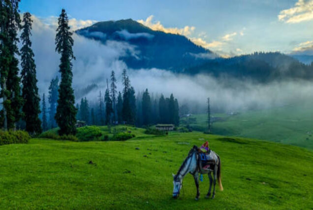 Discover the hidden gems of Kashmir in 7 days